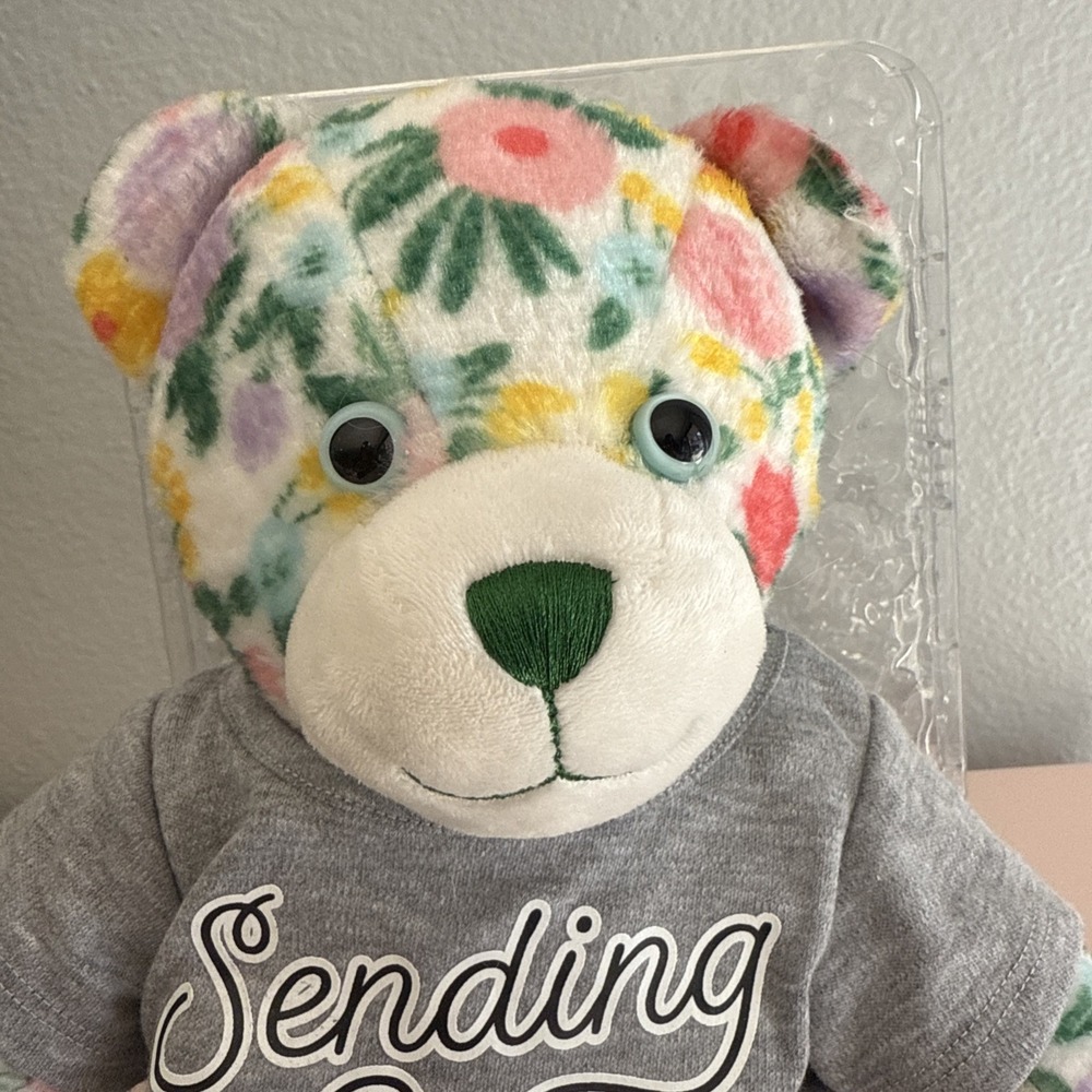 Oh So Lovely Build A Bear Heart Box HB Floral Teddy Bear 10" Sending Hugs - Picture 3 of 7